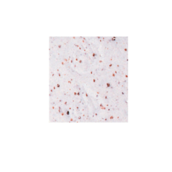 Cinelli Lenkerband Cork Ribbon